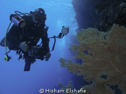 taken with Canon G12 by Hisham Elshafie 